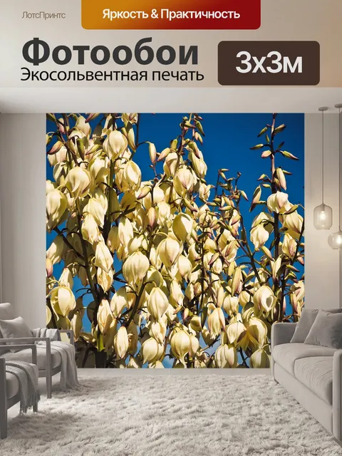 Фотообои Пальмовая лилия