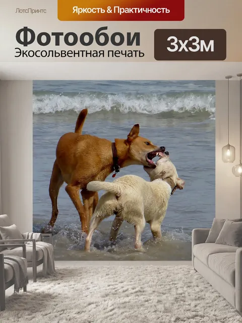 Фотообои Собаки