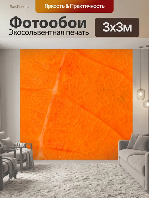 Фотообои Оранжевый лист подробно