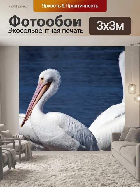 Фотообои Белые пеликаны