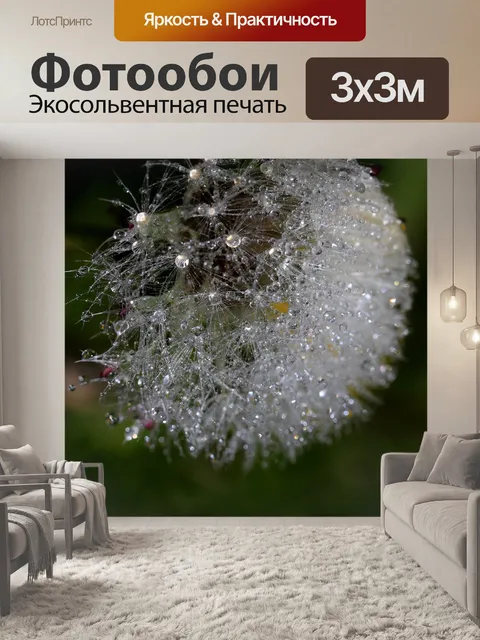 Фотообои Одуванчик