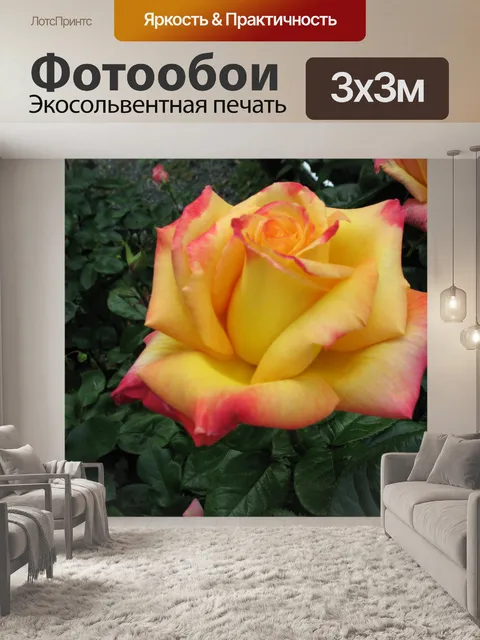Фотообои Желтая роза смесь