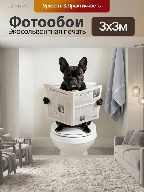 Фотообои Французский бульдог с газетой в туалете