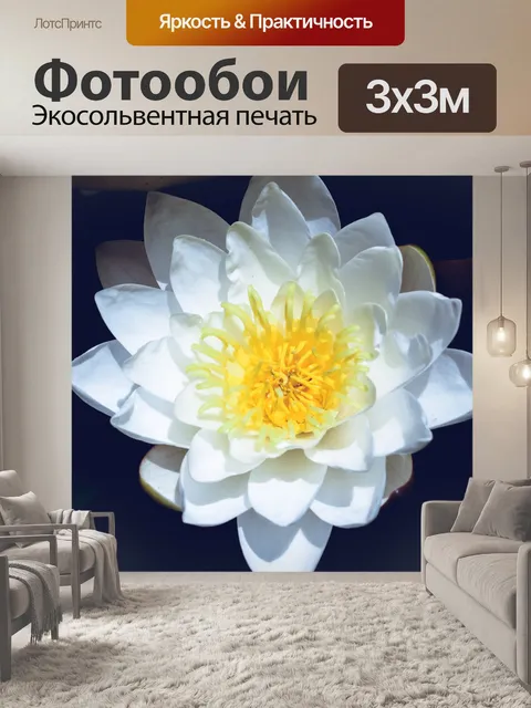 Фотообои Лотос