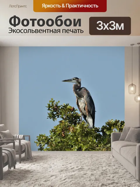 Фотообои Большая голубая цапля на вершине дерева