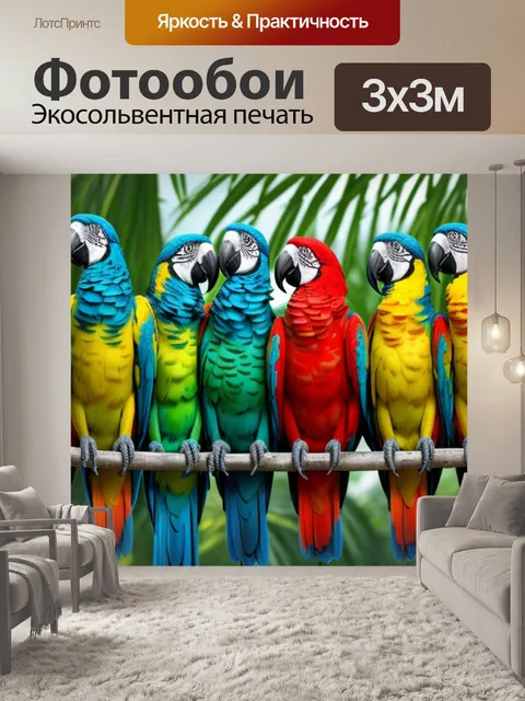 Фотообои с попугаями значение