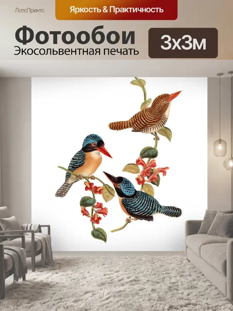 Фотообои Птицы Зимородок Vintage Art