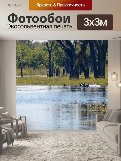 Фотообои бегемоты в бассейне с водой