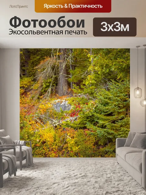 Фотообои лес осенью