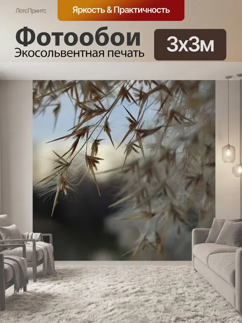 Фотообои Камарг тростник