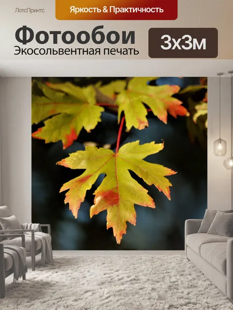 Фотообои Кленовый лист осенью
