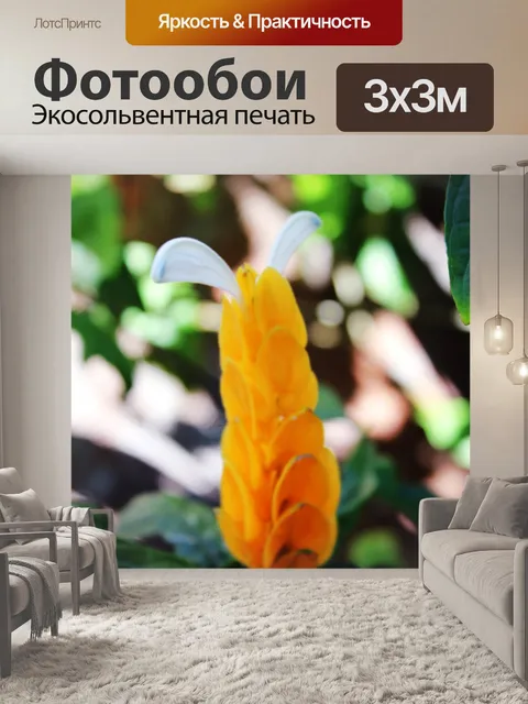 Фотообои Желтый цветок свечи