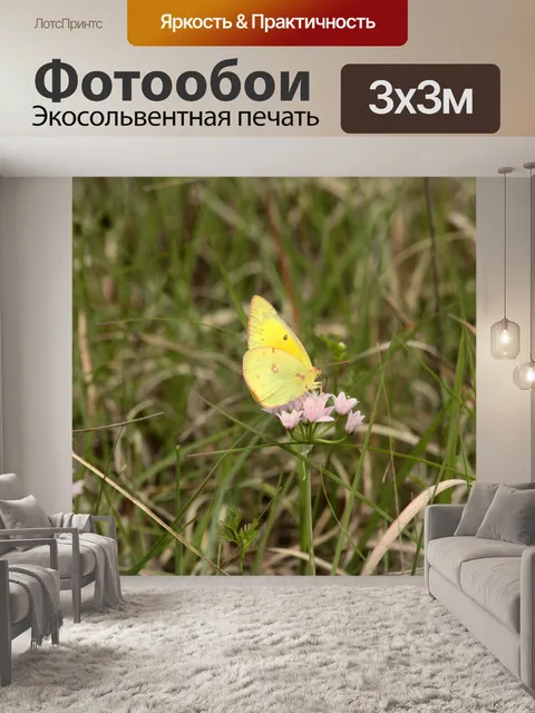 Фотообои Засохшая серая бабочка в поле