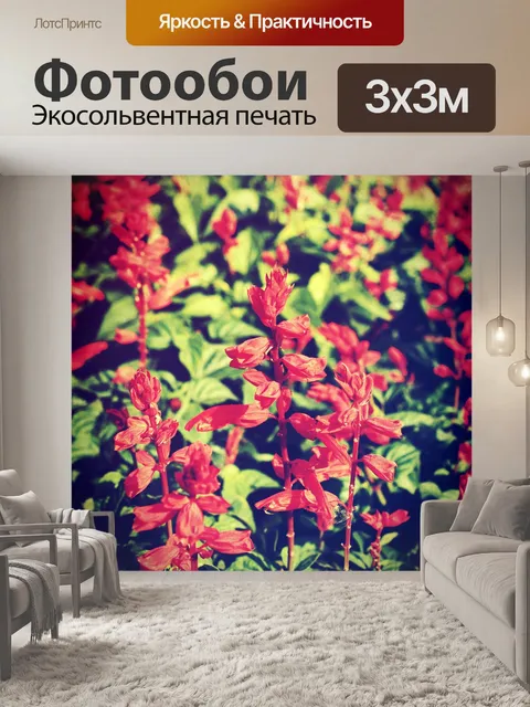 Фотообои Красивый цветок