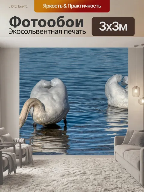 Фотообои Лебеди