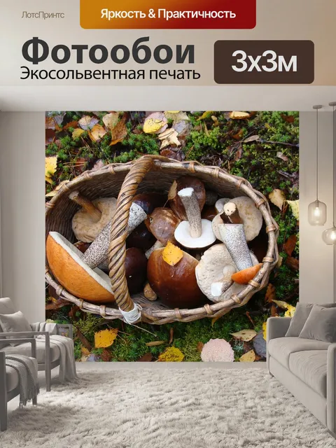Фотообои Грибы