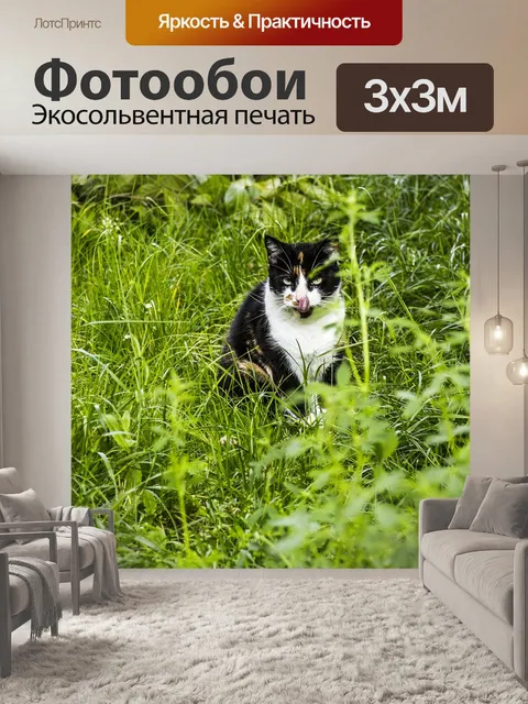 Фотообои Кошки
