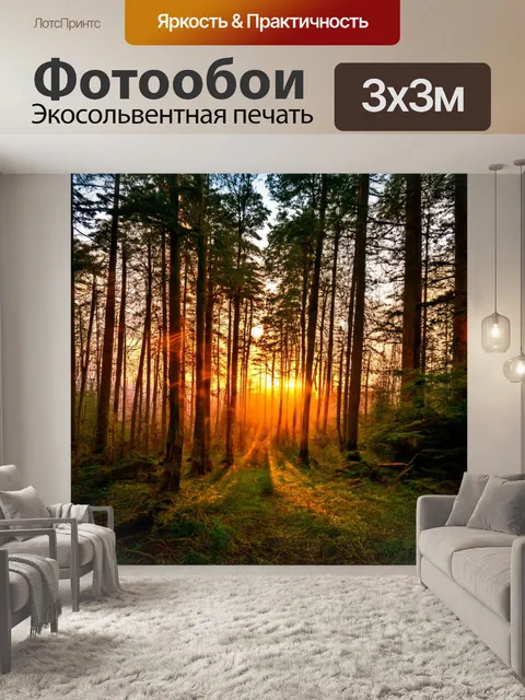 Фотообои лес с вечерним закатом, осветившим все вокруг теплым светом