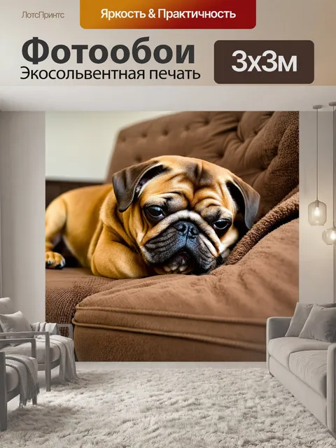 Фотообои коричневый мопс, спящий на диване с пустым пледом