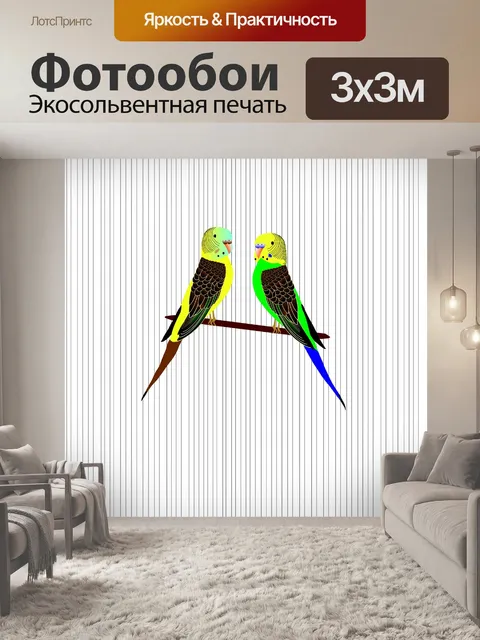 Фотообои Попугаи
