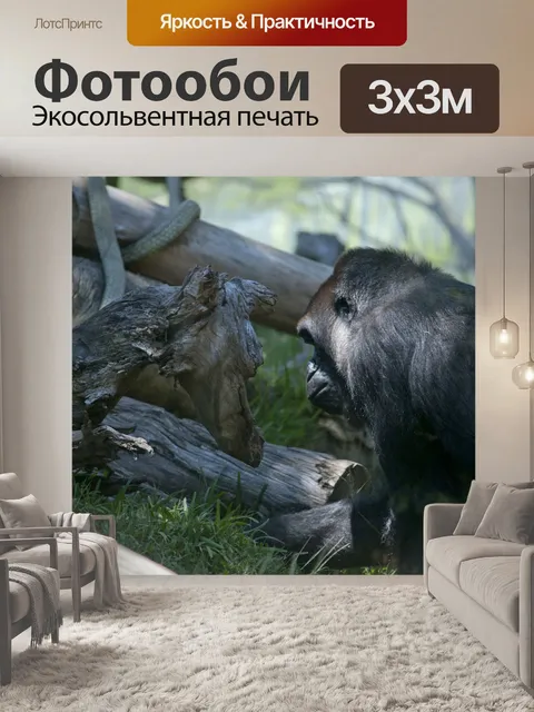 Фотообои горилла