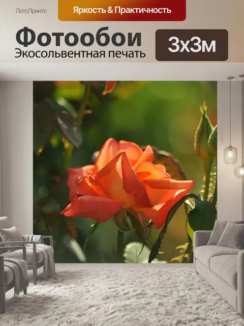 Фотообои Цветы