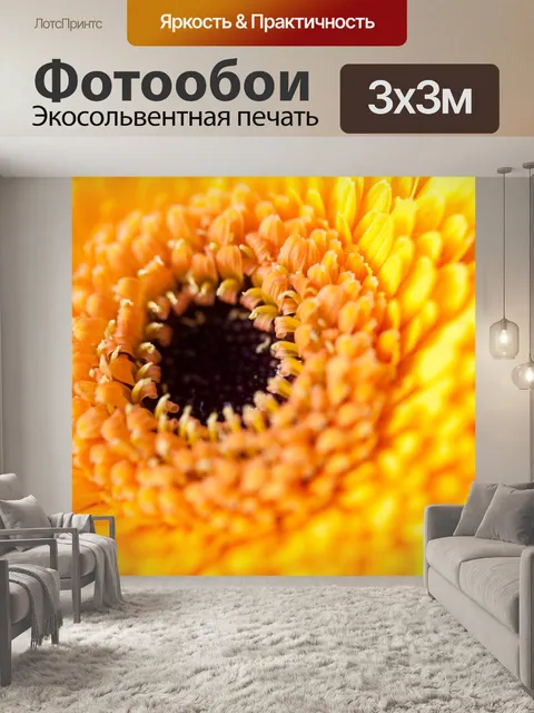 Фотообои Желтый цветок герберы