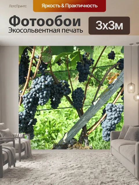 Фотообои Пино нуар