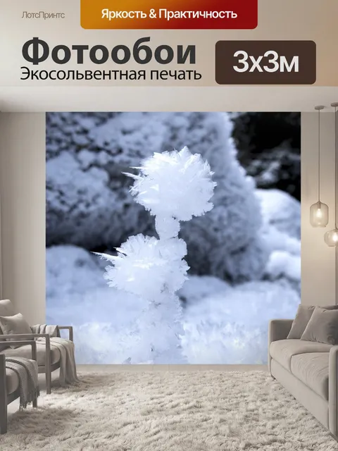 Фотообои Ледяной цветок