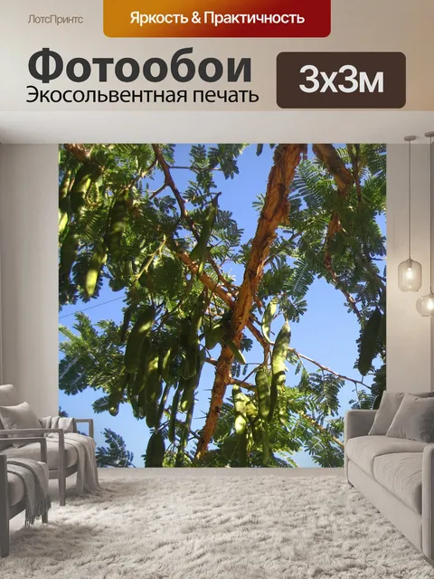 Фотообои зеленые семенные коробочки на бумажной к