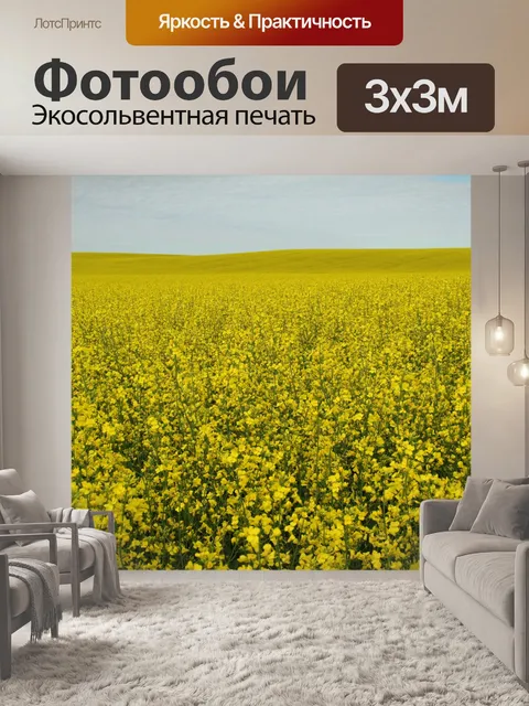 Фотообои Поле канолы