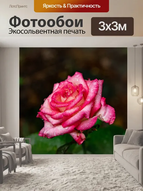 Фотообои Розовый