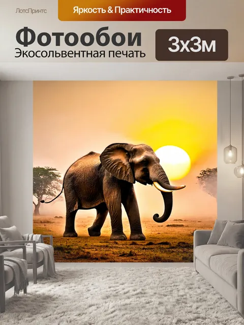 Фотообои слон, появляющийся из тумана на фоне восходящего солнца
