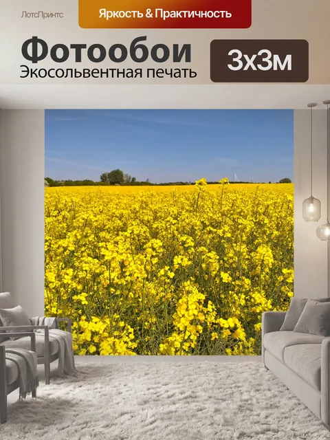 Фотообои Поле рапса пейзаж небо