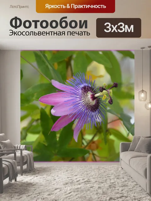 Фотообои Голландские цветы в садах 73