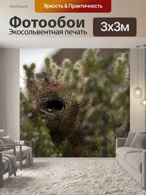 Фотообои Птичье гнездо в Кактусе