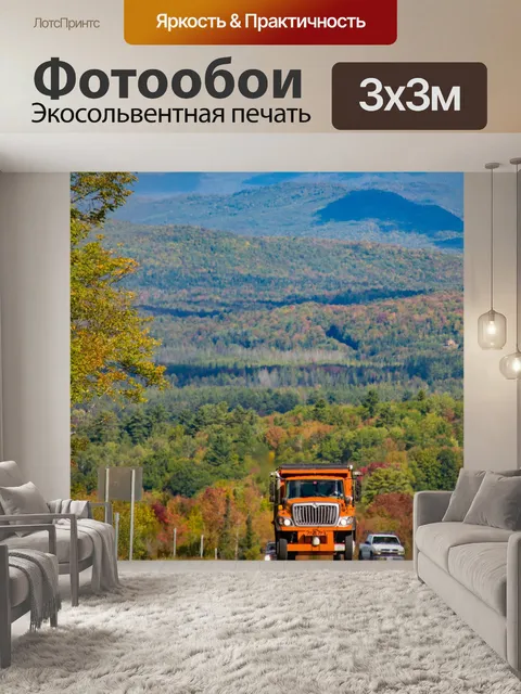 Фотообои Дорожные и осенние деревья