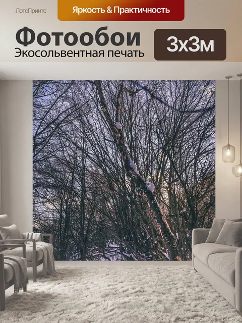 Фотообои Лес