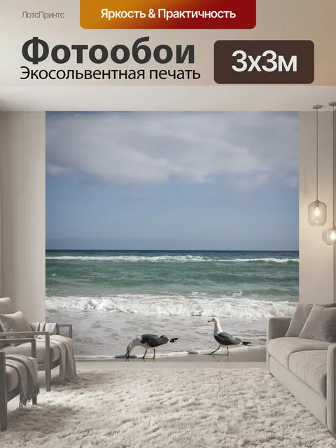 Фотообои Чайки