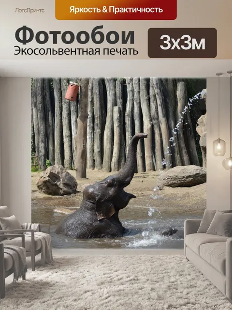 Фотообои В ванне со слонами 14