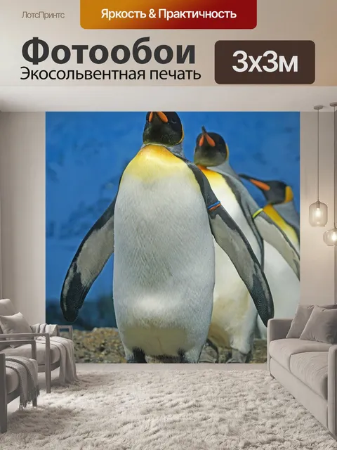 Фотообои Королевский пингвин