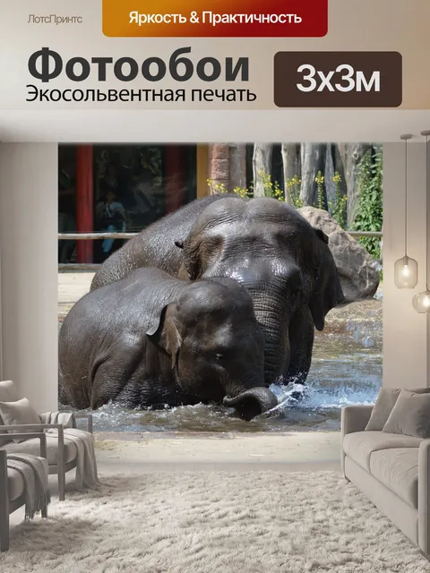 Фотообои В ванне со слонами 2,7