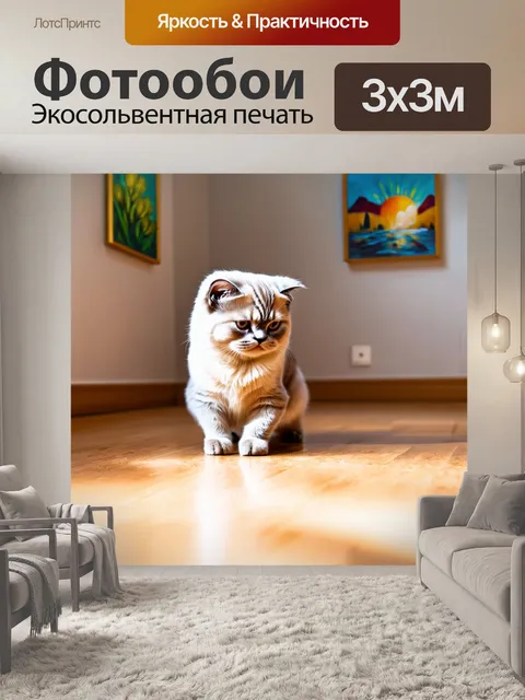 Фотообои шотландская вислоухая кошка