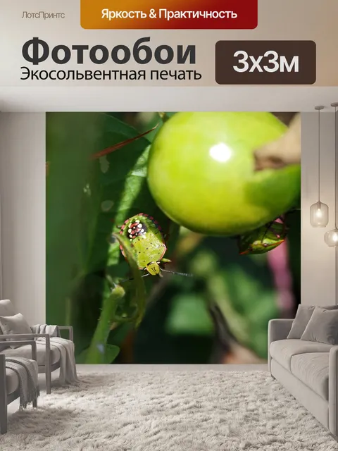 Фотообои розовые и зеленые щитовые жуки на помидо