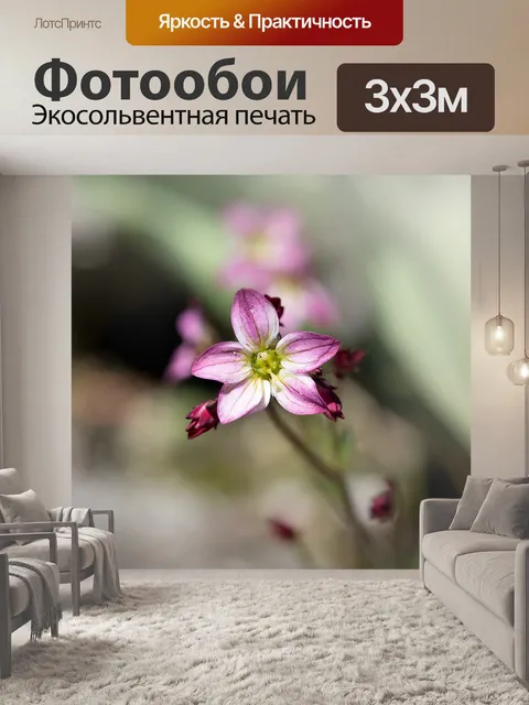 Фотообои Маленький цветок