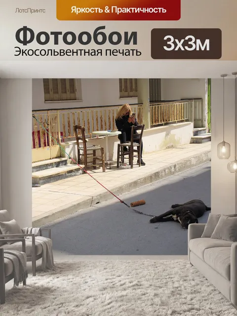 Фотообои Собака лежит на тихой улице