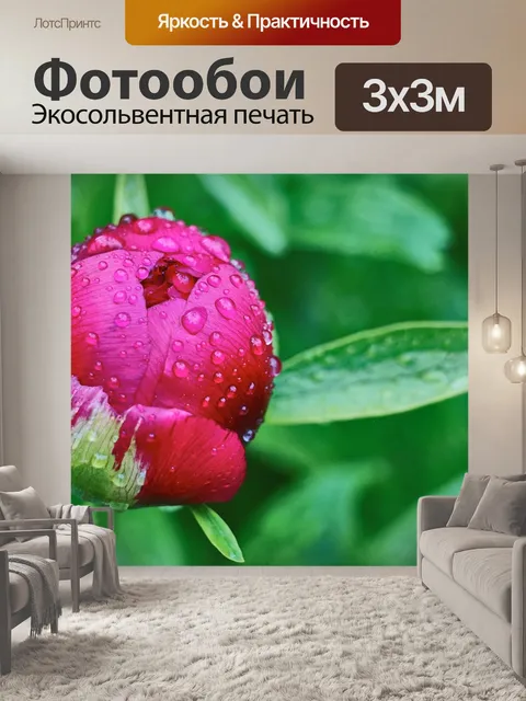 Фотообои Росы