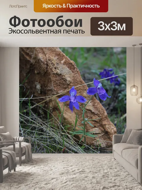Фотообои Дикие горные цветы