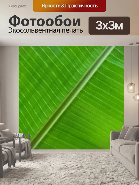 Фотообои деталь зеленого пальмового листа