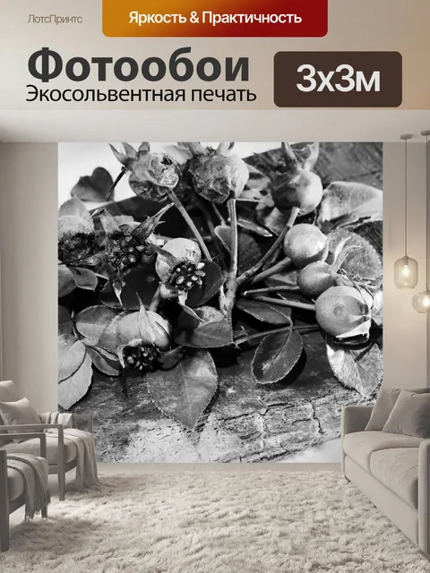 Фотообои черно-белое изображение плодов шиповника